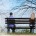 couple-on-bench-far-apart